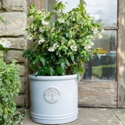 Woodlodge 38cm White / Cream Glazed Heritage Cylinder Pot -Garden Tools Sales Store 5021346424430