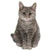 Vivid Arts 30cm Tabby Sitting Cat - XRL-SC33-B