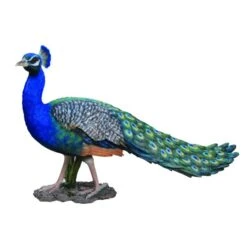 Vivid Arts 52cm Peacock - XRL-PCOK-B