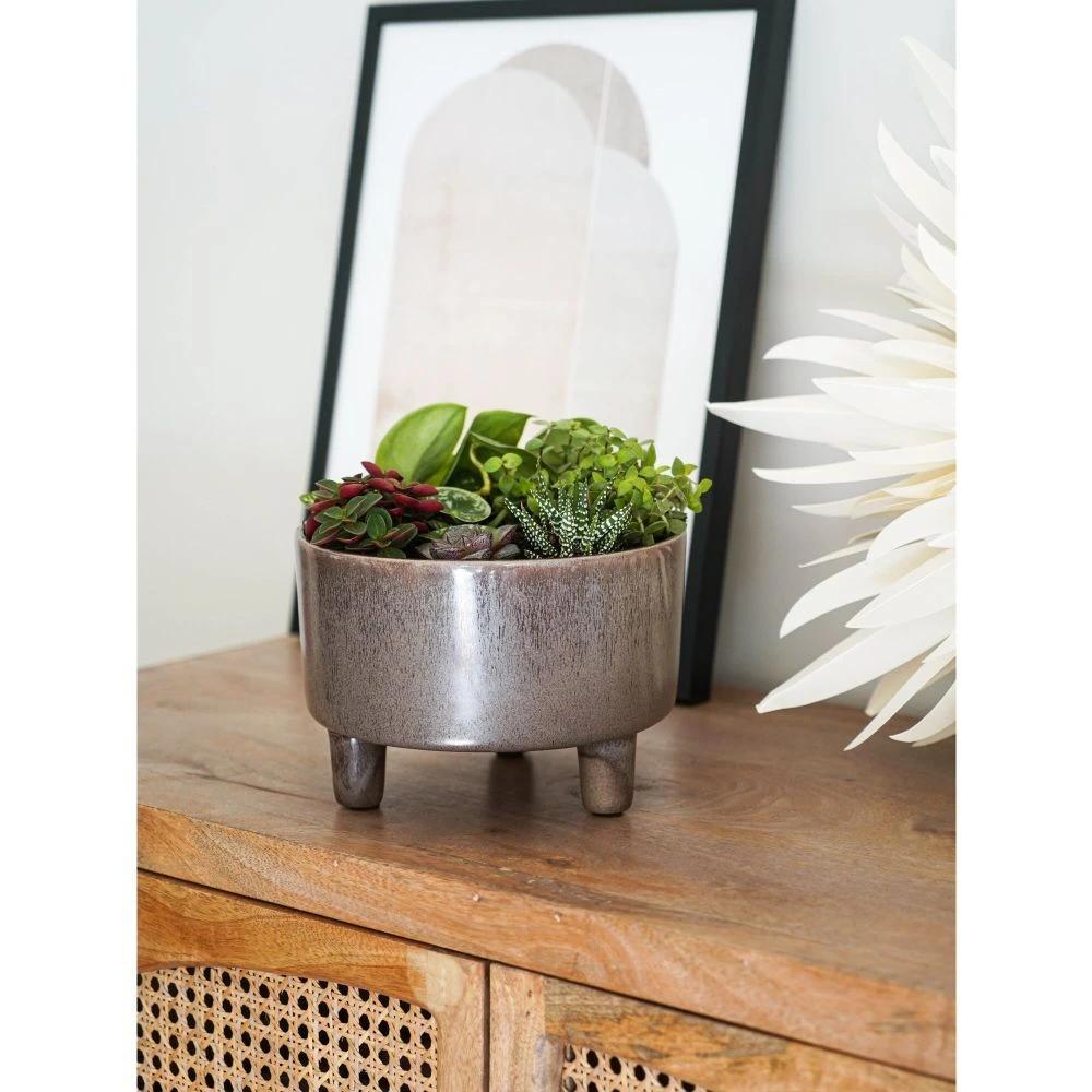 Ivyline 19cm Mocha Pisa Bowl Indoor Houseplant Pot 2 Ivyline 19cm Mocha Pisa Bowl Indoor Houseplant Pot - Image 2