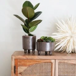 Ivyline 19cm Mocha Pisa Bowl Indoor Houseplant Pot 5 Ivyline 19cm Mocha Pisa Bowl Indoor Houseplant Pot -Garden Tools Sales Store 5055352850235 3