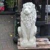 The Stone Studio Lion Looking Right