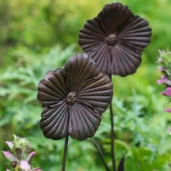 Wilstone 127cm Iron Poppy Flower Garden -Garden Tools Sales Store 5060345971767 4