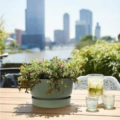 Elho 33cm Leaf Green Greenville Bowl Planter -Garden Tools Sales Store 8711904332464 4