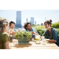 Elho 33cm Leaf Green Greenville Bowl Planter -Garden Tools Sales Store 8711904332464 5