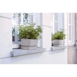 Elho 50cm Living Concrete Greenvillle Long Trough Planter 8 Elho 50cm Living Concrete Greenvillle Long Trough Planter -Garden Tools Sales Store 8711904358440 4